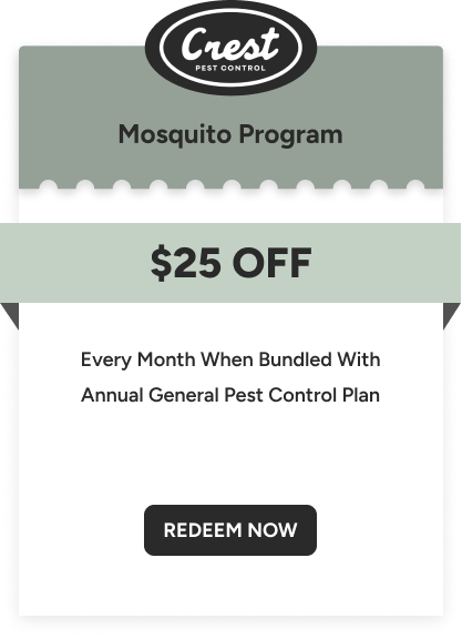 Mosquito Program
