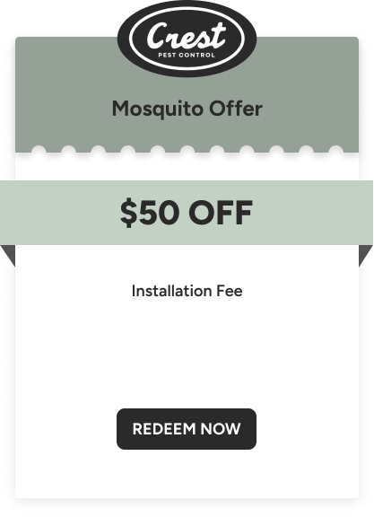 Mosquito Offer