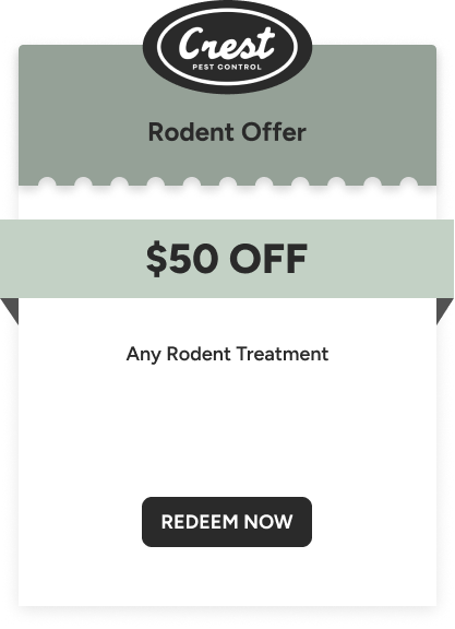 Rodent Offer