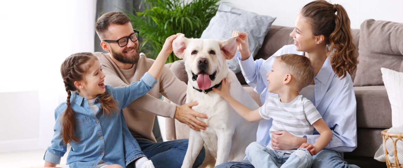 Who’s the Best Exterminator in Orange County for Pet Owners?